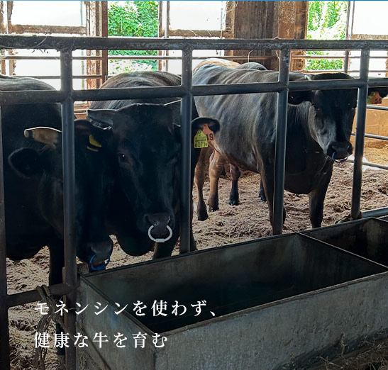 モネンシンを使わず、健康な牛を育む