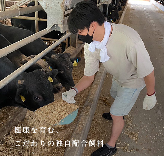健康を育む、こだわりの独自配合飼料
